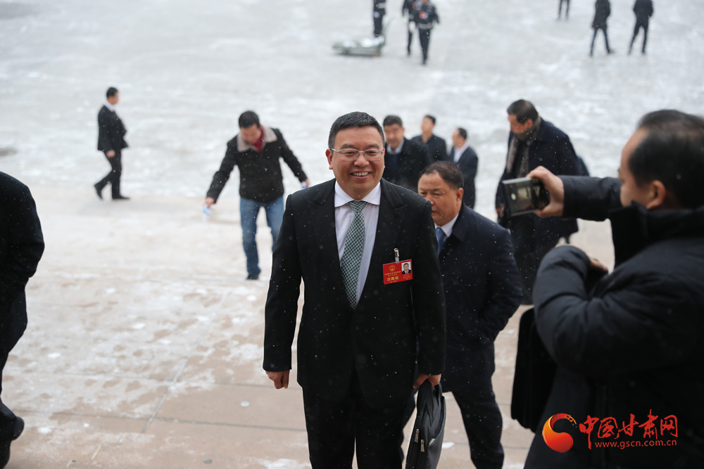 【聚焦2020甘肅兩會】“兩會”代表、委員風(fēng)采掠影（組圖）