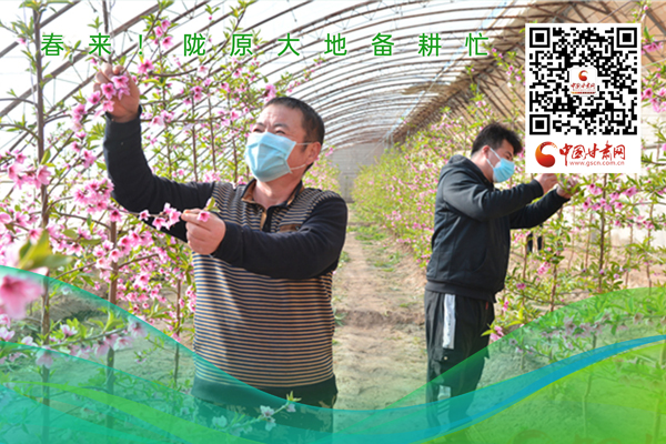 海報丨春來！隴原大地春耕忙