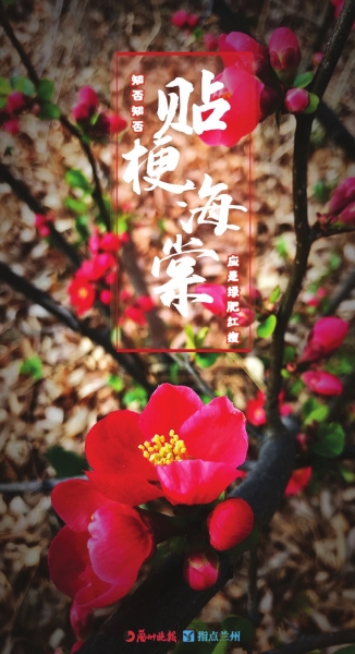 來(lái)，跟這些美美的花朵認(rèn)識(shí)一下！