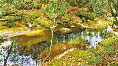甘肅旅游丨八福溝，西秦嶺深處的水韻秘境