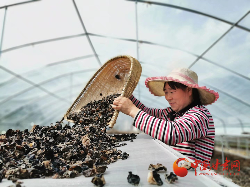 康縣：木耳菌袋結(jié)出脫貧致富的“幸?；ā?>
        </a><em>康縣：木耳菌袋結(jié)出脫貧致富的“幸福花”</em></li>
    <li><a  target=