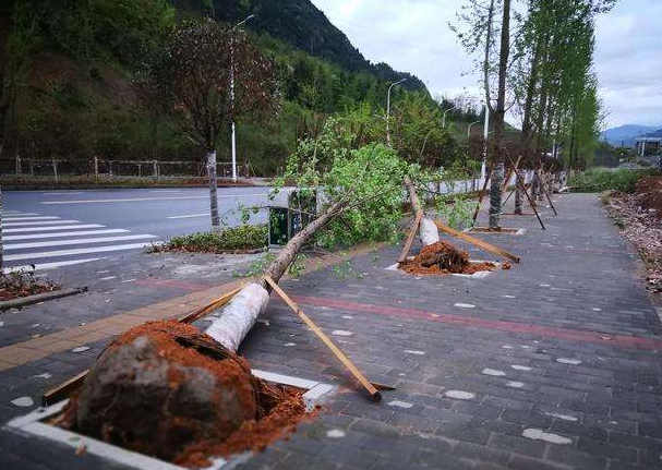 刮風下雨加速新冠病毒傳播？別信！