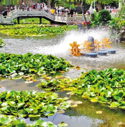走，到五泉山公園看花展去