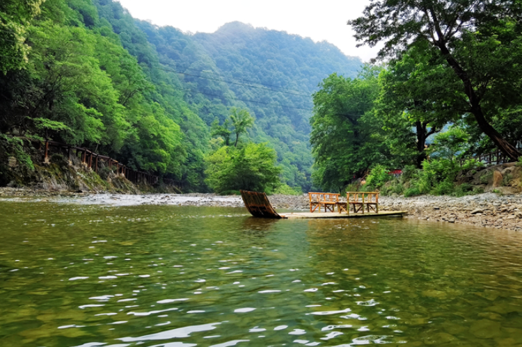 【小隴畫報·95期】康縣：來陽壩，“森”呼吸，我“氧”你