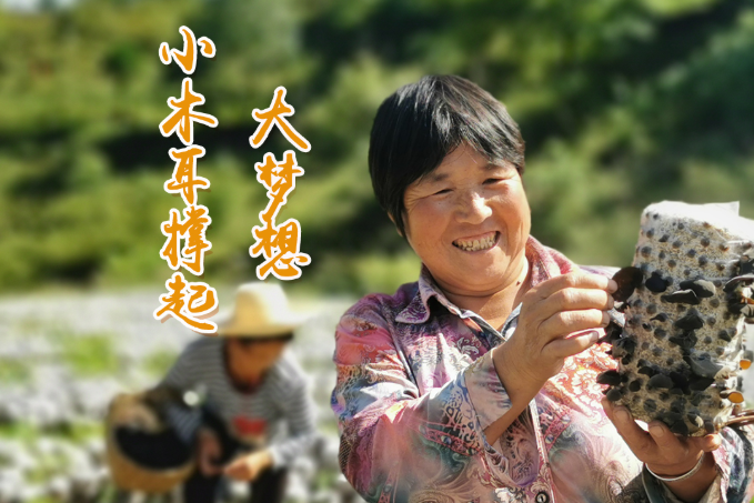 海報丨他們，乘“豐”破浪！