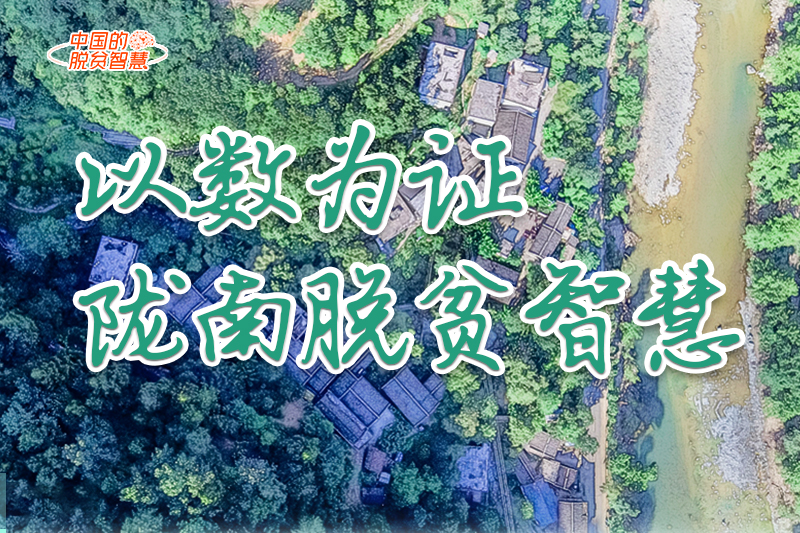 【中國的脫貧智慧】以數(shù)為證！隴南脫貧智慧來了！