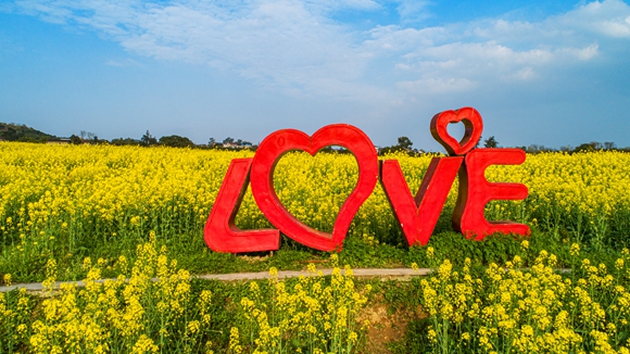 “l(fā)ove”創(chuàng)意拍照墻。廖濤 攝