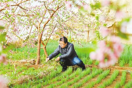 甘肅：時(shí)令催人耕種忙，不誤田間一季春