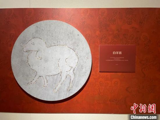 圖為展覽現(xiàn)場(chǎng)?！〗瓧顭?攝