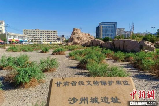 圖為沙州郡城遺址公園古遺址?！⊥醣筱y 攝