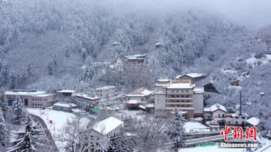 圖為籠罩在雪下的世界。吳永 攝