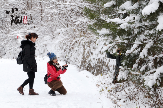 【小隴畫報(bào)·129期】問(wèn)道崆峒遇風(fēng)雪 青山如黛天地白