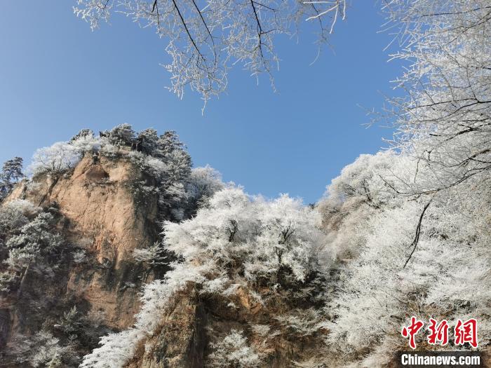 圖為藍(lán)天下霧凇籠罩山脈。　徐振華 攝
