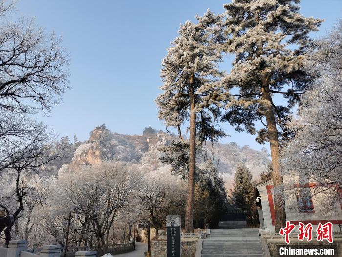 圖為崆峒山霧凇景色美不勝收?！⌒煺袢A 攝