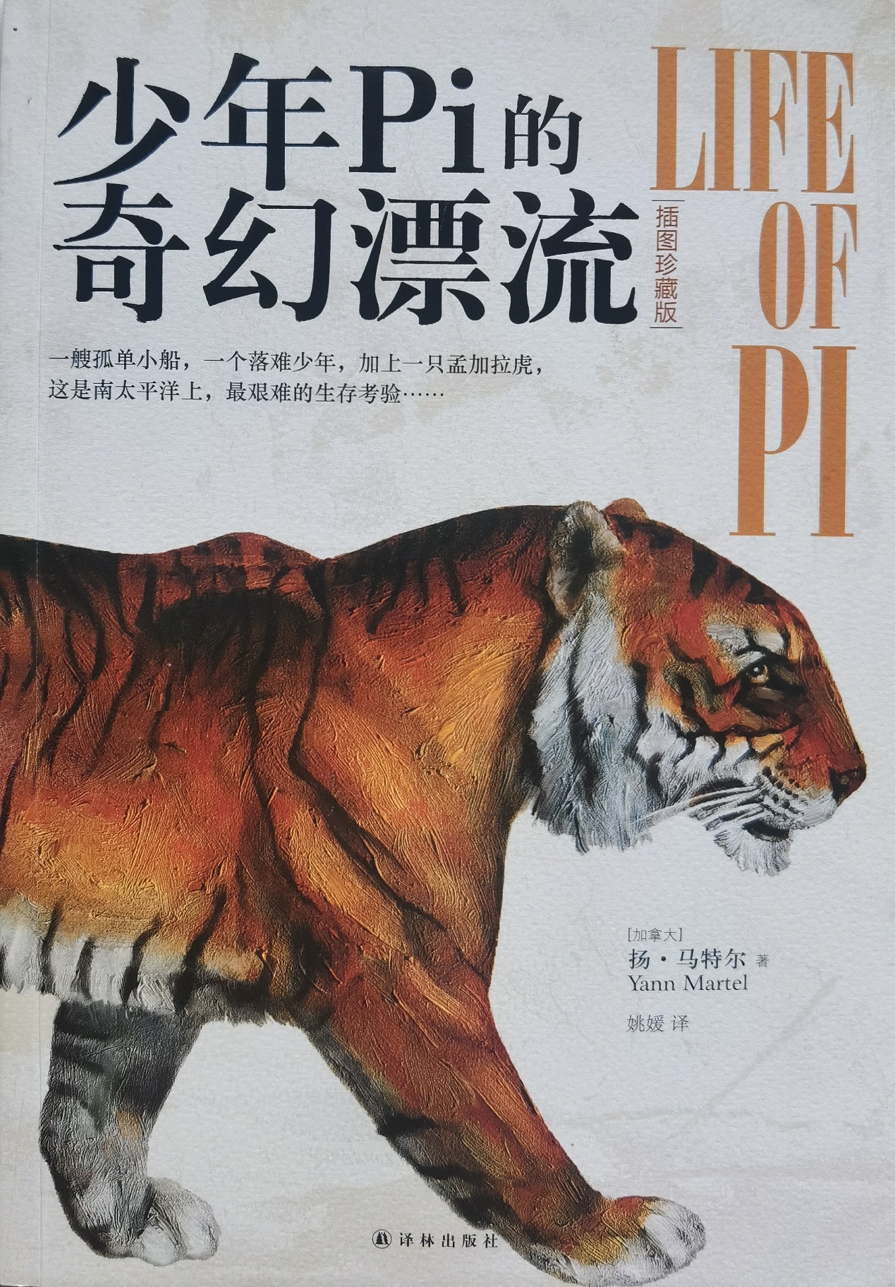 插圖1：揚(yáng)？馬特爾的小說《少年pi的奇幻漂流》封面