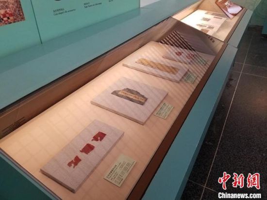 圖為展覽現(xiàn)場?！《鼗脱芯吭汗﹫D