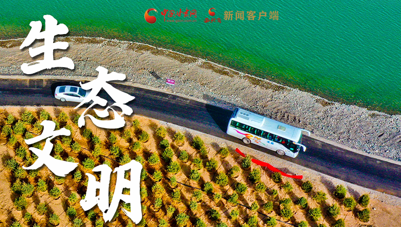 彈幕海報丨熱議甘肅省委十三屆十六次全會 網(wǎng)民聲音在回響！