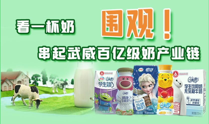 圖解|圍觀！看一杯奶串起武威百億級奶產(chǎn)業(yè)鏈