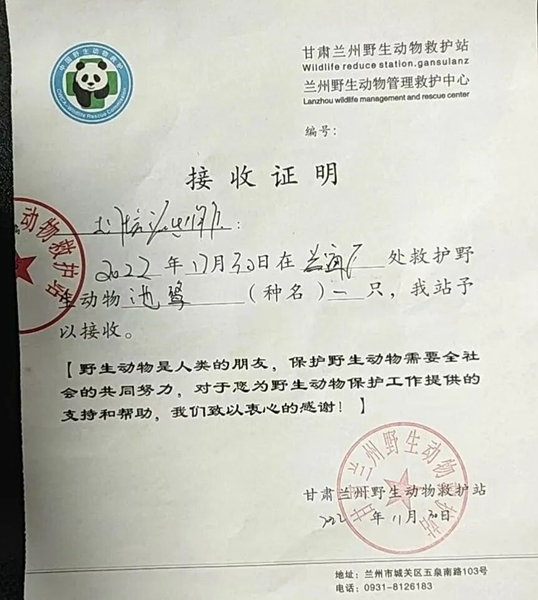 受到救助的池鷺被蘭州野生動物保護站接收。（蘭州市公安局七里河分局供圖）