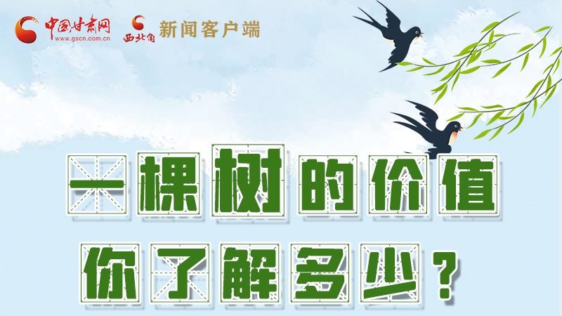 圖解|一棵樹的價值你了解多少?來看！