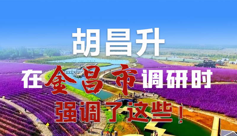 圖解|胡昌升在金昌市調(diào)研時(shí)強(qiáng)調(diào)了這些！