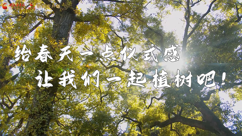 短視頻|給春天一點儀式感，讓我們一起植樹吧！