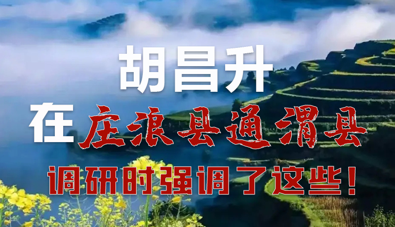 圖解|胡昌升在莊浪縣通渭縣調(diào)研時強調(diào)了這些！
