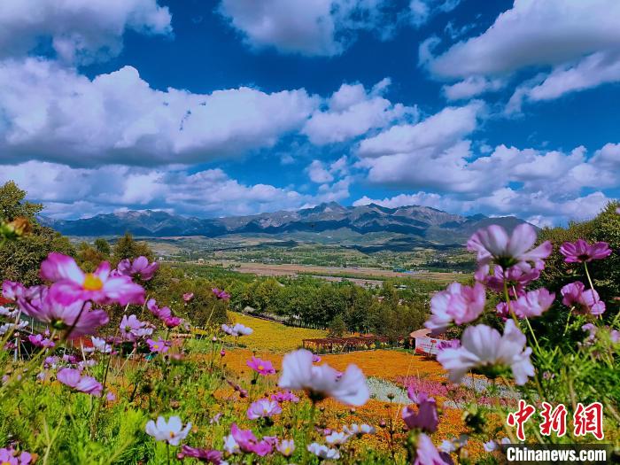 圖為盛夏時(shí)節(jié)的油嘴灣“花?！薄！∈茉L者供圖