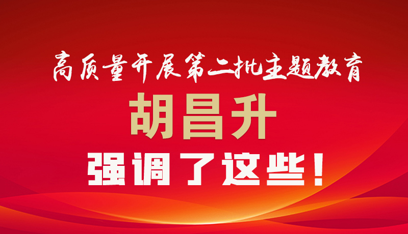圖解|高質(zhì)量開展第二批主題教育 胡昌升強調(diào)了這些！