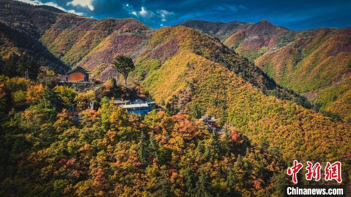 深秋，位于蘭州市榆中縣的興隆山，似打翻調(diào)色板。金峯 攝