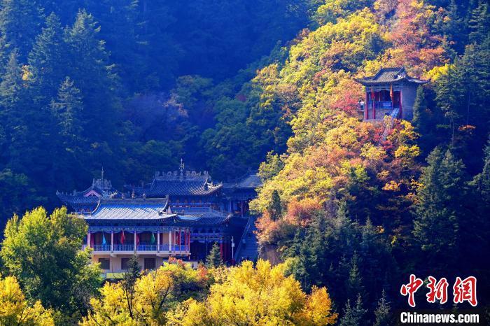 深秋，位于蘭州市榆中縣的興隆山景色如畫(huà)。宮衛(wèi)紅 攝