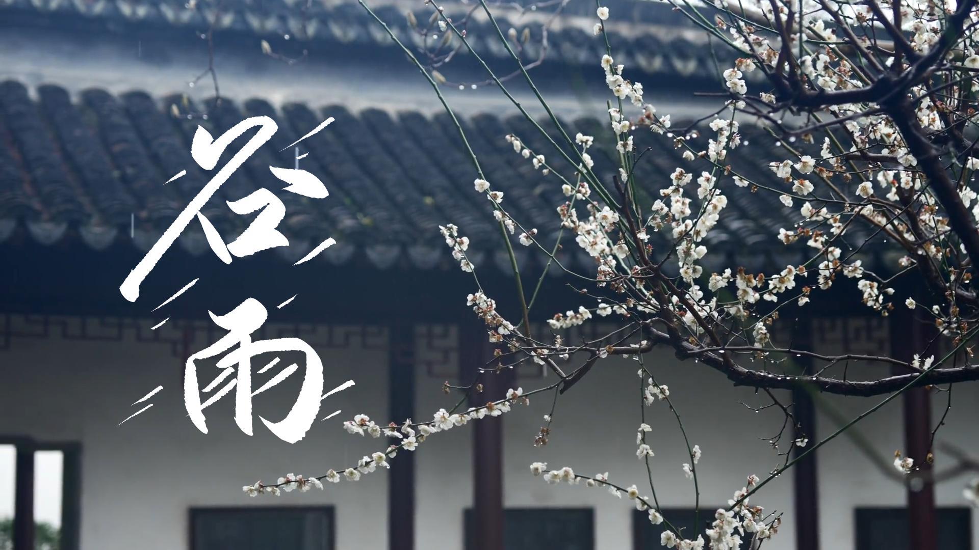 【節(jié)氣里的大美甘肅】谷雨，春天的最后一次回眸