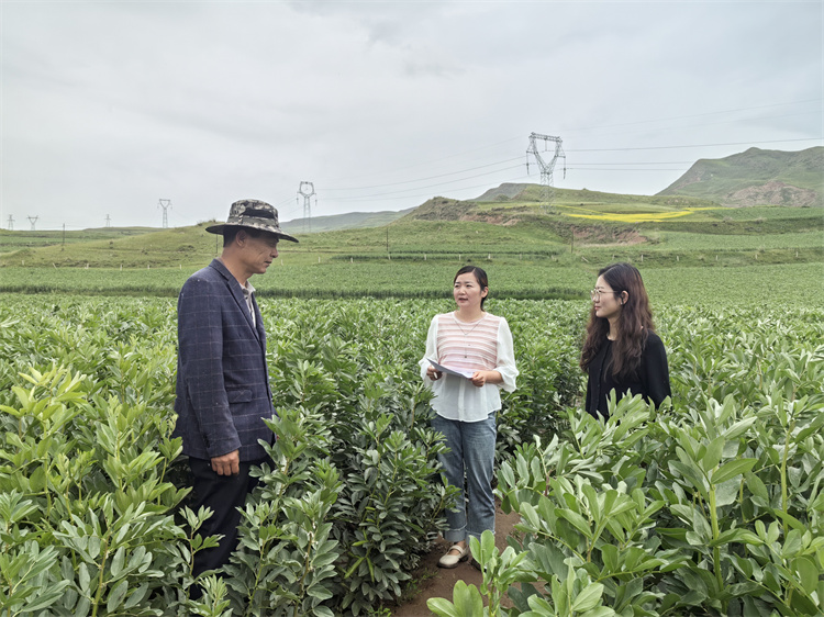 1721898041570263.jpg 圖為古浪縣十八里堡鄉(xiāng)紀(jì)檢監(jiān)察干部在東廟兒溝村大豆種植基地了解產(chǎn)業(yè)獎補(bǔ)政策落實(shí)情況.jpg