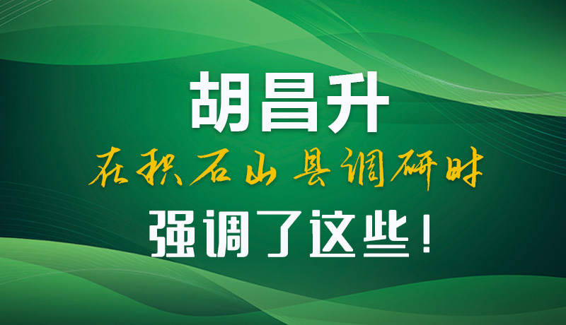 圖解|胡昌升在積石山縣調(diào)研時(shí)強(qiáng)調(diào)了這些！