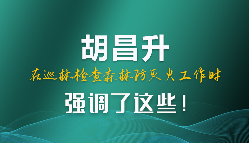 圖解|胡昌升在巡林檢查森林防滅火工作時(shí)強(qiáng)調(diào)了這些！