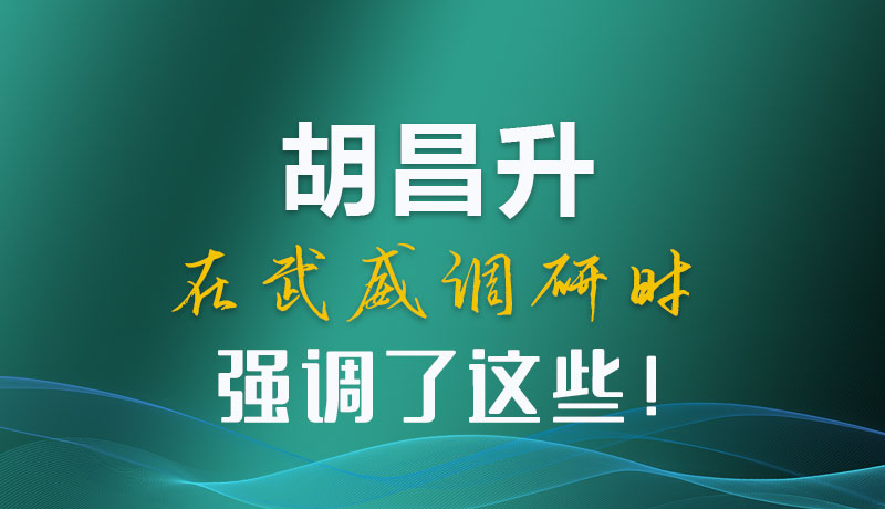 圖解|胡昌升在武威調研時強調了這些！