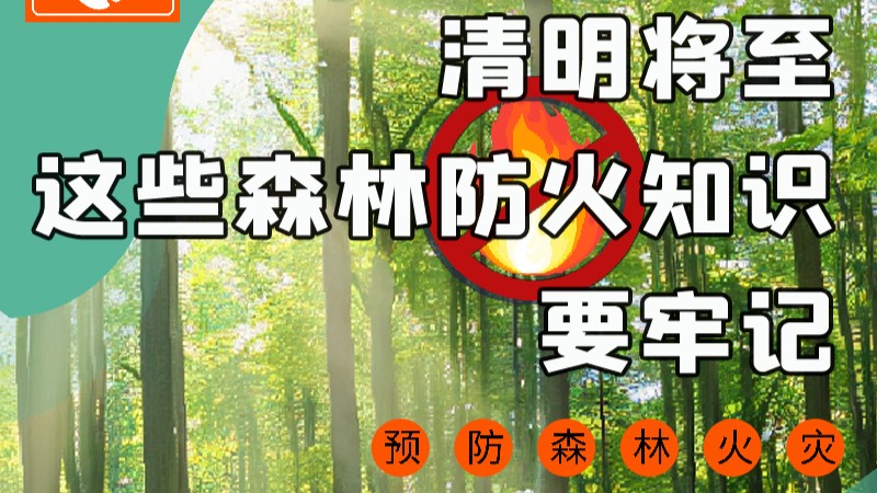 【甘快看】圖解|緊繃“安全弦”！清明，這些森林防火知識(shí)要牢記