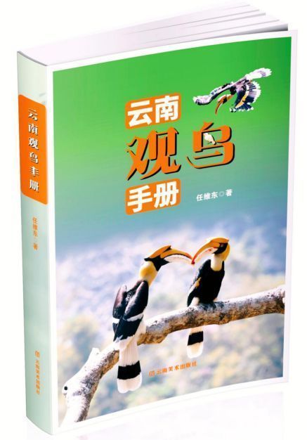 飛鳥(niǎo)的請(qǐng)柬：聽(tīng)見(jiàn)羽翼劃過(guò)彩云之南