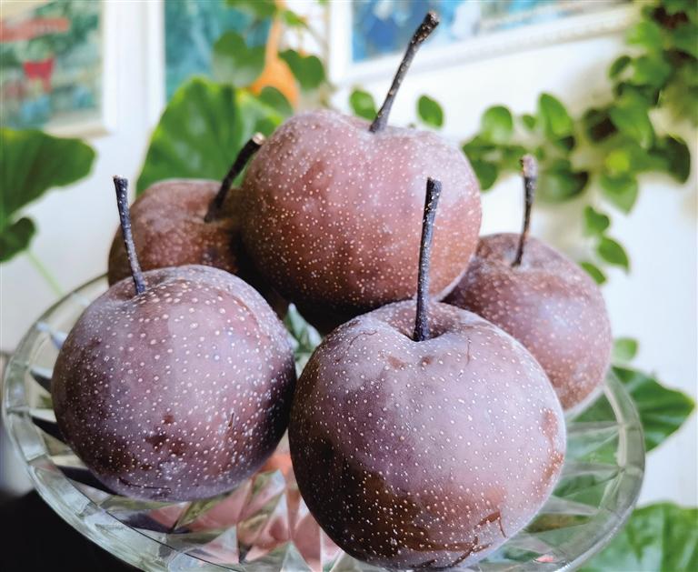 皋蘭“四珍”榮登“國字號(hào)”