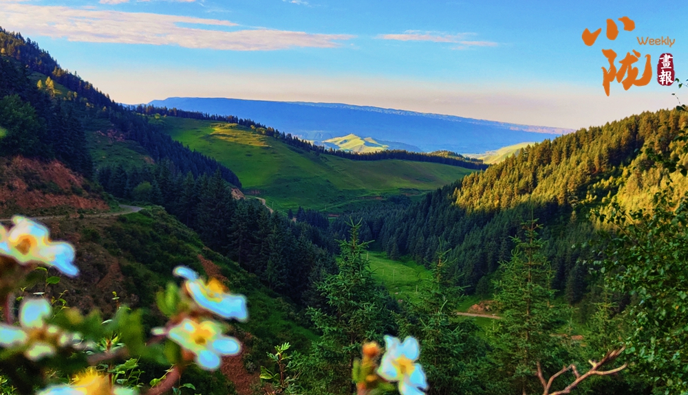 肅南 一眼心動 祁連山秋日的配色太美了！