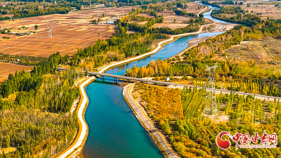 隴拍客丨臨澤：彩色屏障 守護(hù)生態(tài)家園
