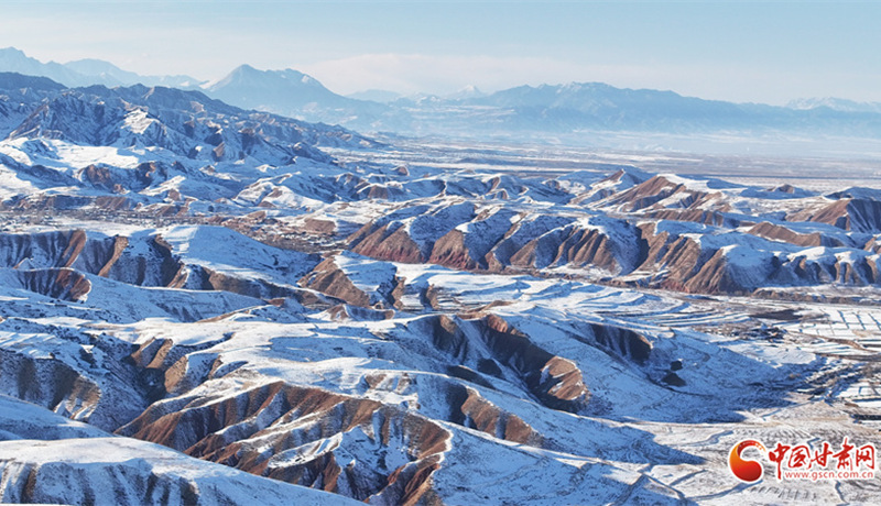 隴拍客丨祁連山萬頃沃野顯生機(jī)