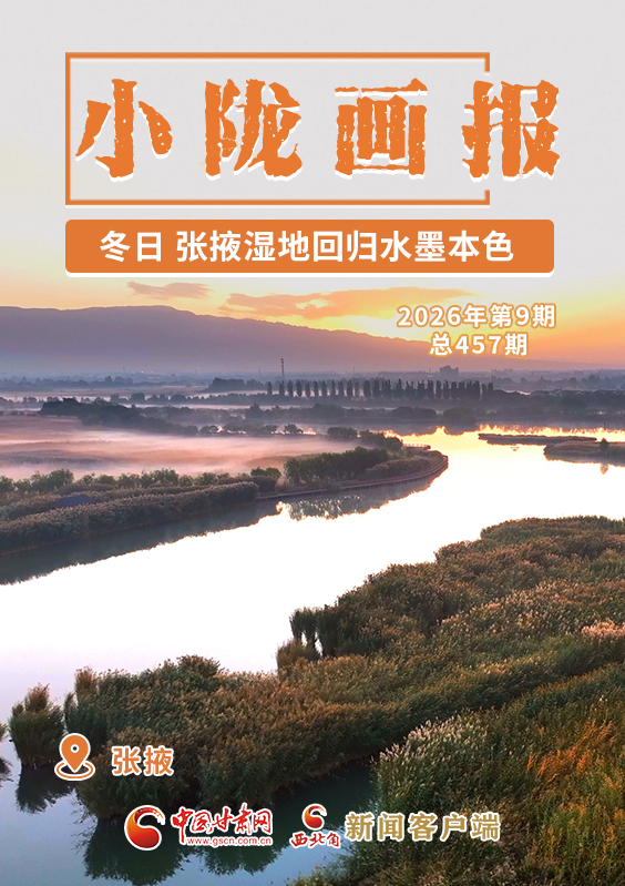 【小隴畫報·457期】冬日，張掖濕地回歸水墨本色 