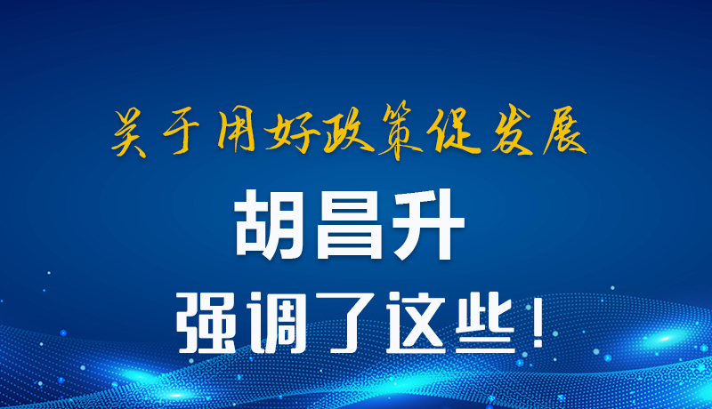 圖解|關(guān)于用好政策促發(fā)展 胡昌升強調(diào)了這些！