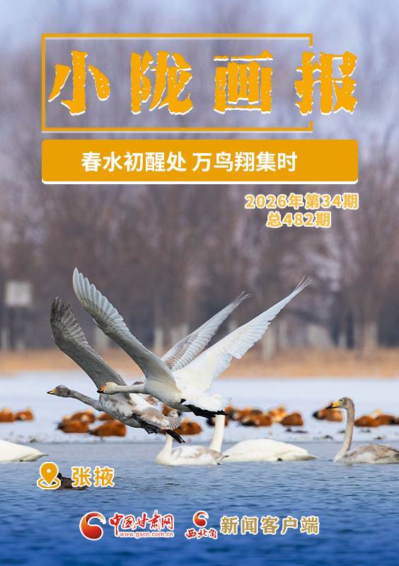 【小隴畫(huà)報(bào)·482期】張掖：春水初醒處 萬(wàn)鳥(niǎo)翔集時(shí)
