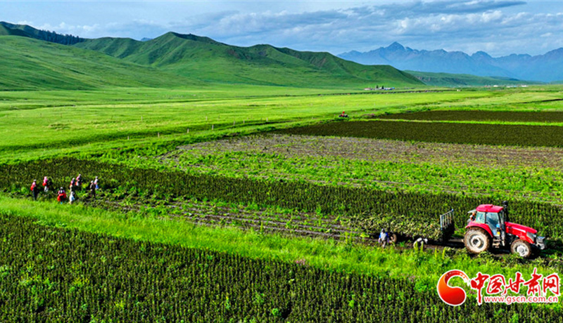 甘肅面向全社會公開征集交旅融合經典品牌與精品路線