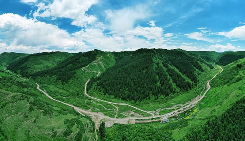 漳縣：以綠為墨繪山河 逐綠而行啟新程