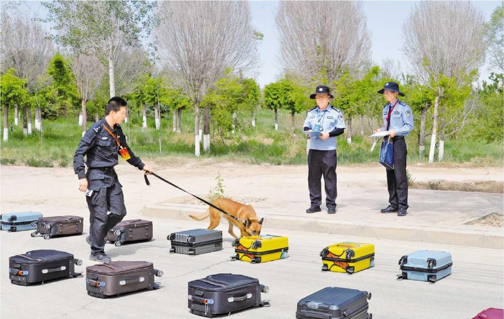 全省公安機(jī)關(guān)警犬技術(shù)比賽舉行